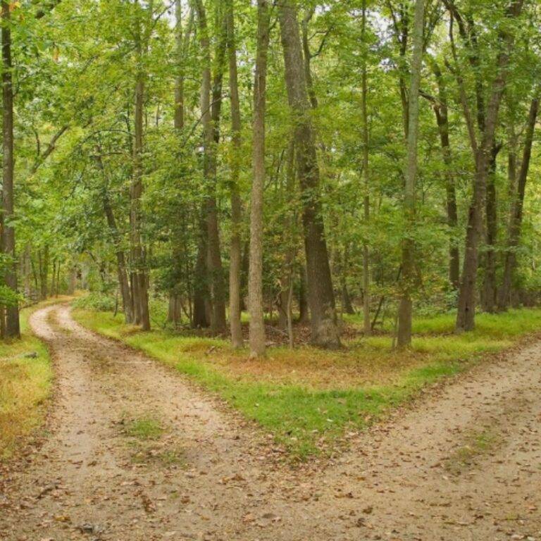 Sesion de gestion de estres